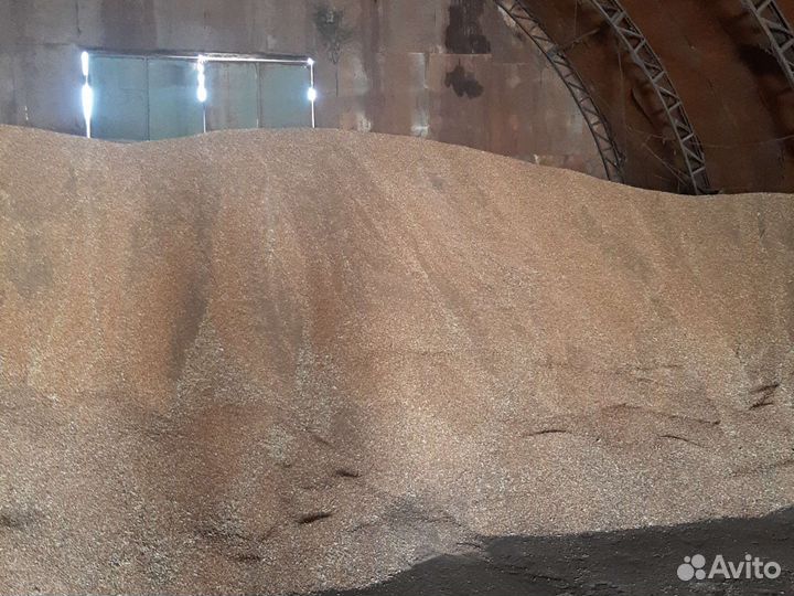 Зерно пшеница ячмень