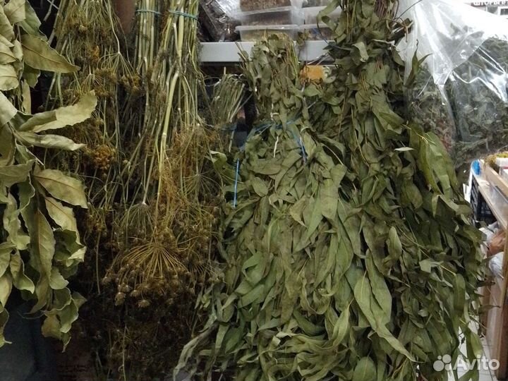 Укропа пучки зонтики семена