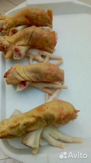 Потроха куриные домашние