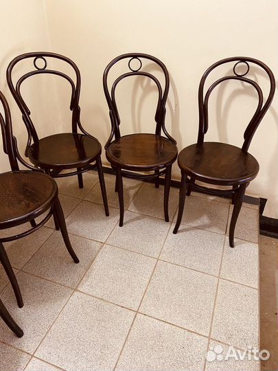 Венские Антикварные стулья Тонет 1905 г. Клейма