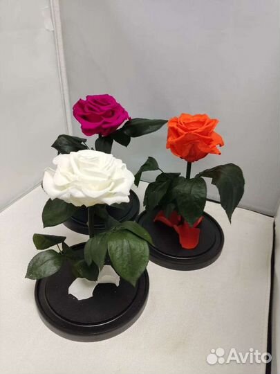 Роза в колбе оптом