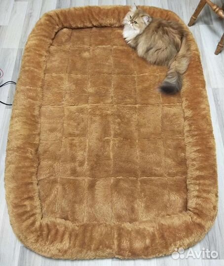 Разное для кошек и собак