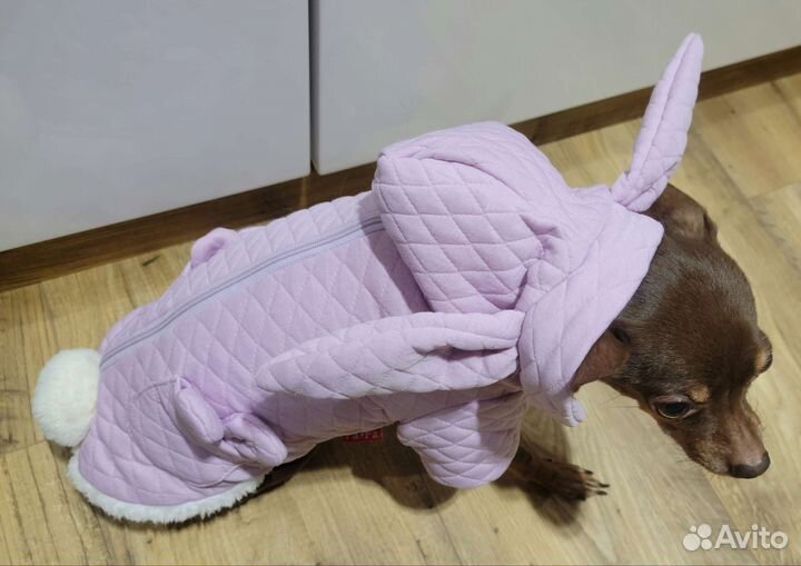 Кофточка для маленьких собачек