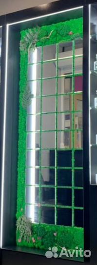 Панели из стабилизированного мха с зеркалом