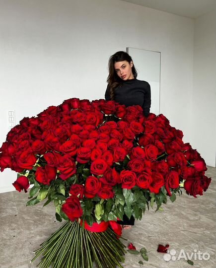 Розы-гиганты