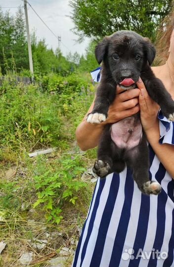 Мальчюганы