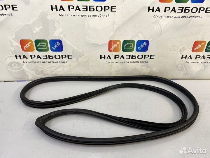 Уплотнительная резинка дверного проема передняя