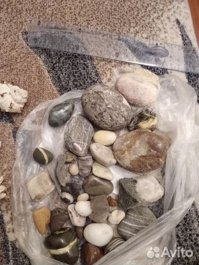 Морские ракушки и камешки