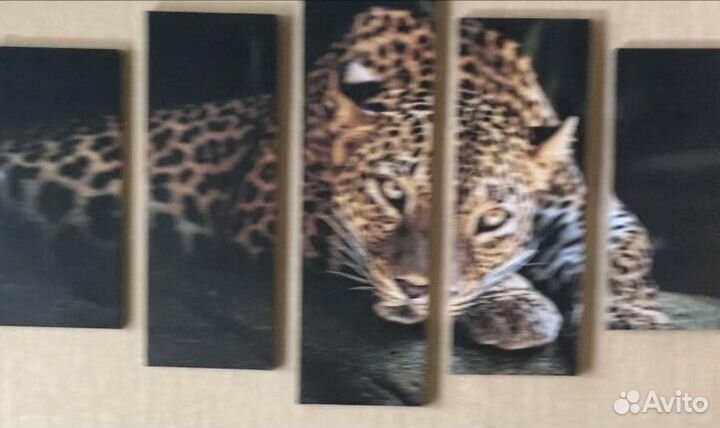 Картина гепард
