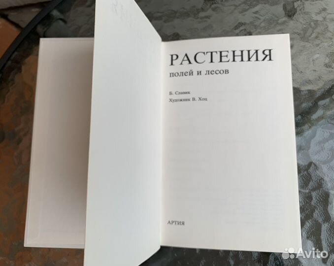 Богумил Славик Растения полей и лесов