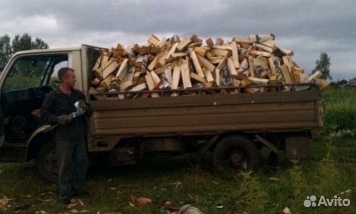 Дрова дубовые