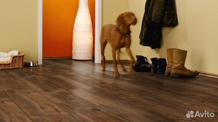 Ламинат Kronotex Дуб Гала натуральный D4783