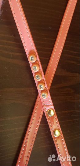 Поводок и шарфик для собачки