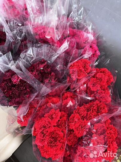 Гвоздика оптом