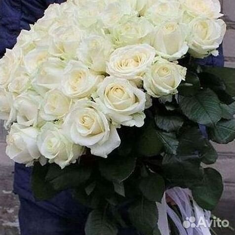 Высокие розы Гигантские розы с доставкой