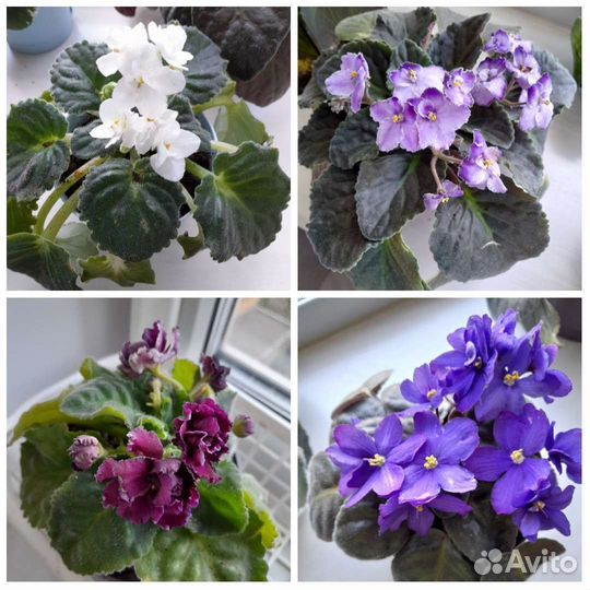 Листы на срез