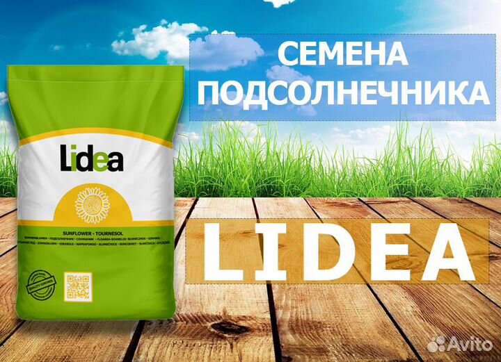 Семена гибрида подсолнечника Лидеа (Lidea)
