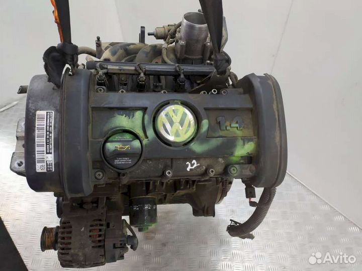 Двигатель Volkswagen Golf 5 (2003 - 2009) 1.4 BUD