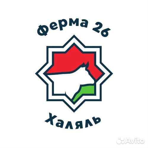 Продавец кассир