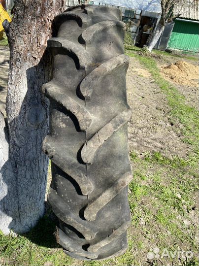 Шина тракторная Т-40