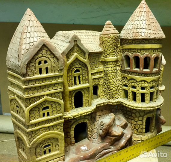 Криптокорина Балансе В gigantea,мангровые коряги