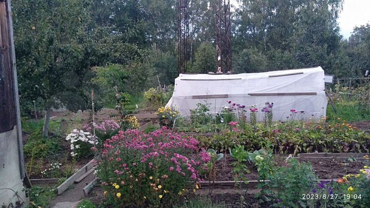 Участок 4,3 сот. (СНТ, ДНП)