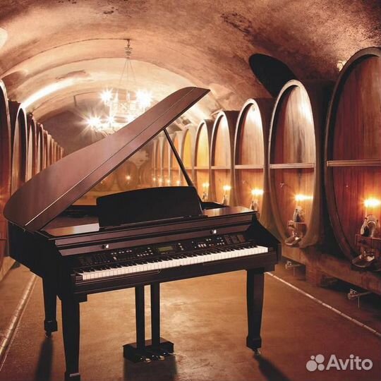 Рояль цифровой Orla grand 450 black + Комплект