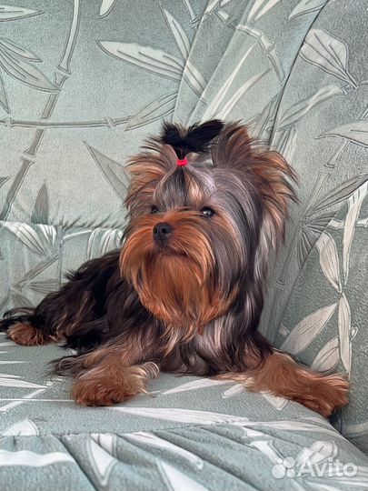 Шикарная кукольная мини-девочка