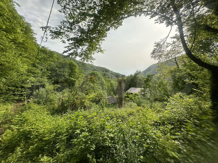 Участок 6,2 сот. (СНТ, ДНП)