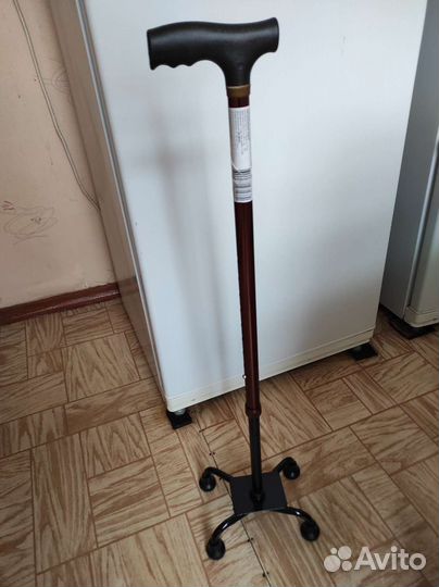 Трость новая