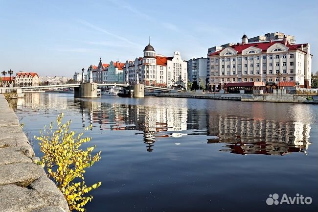 Тур Казань+Калининград