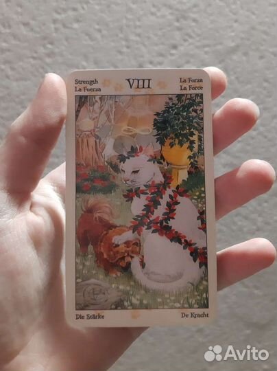 Таро с кошачьими