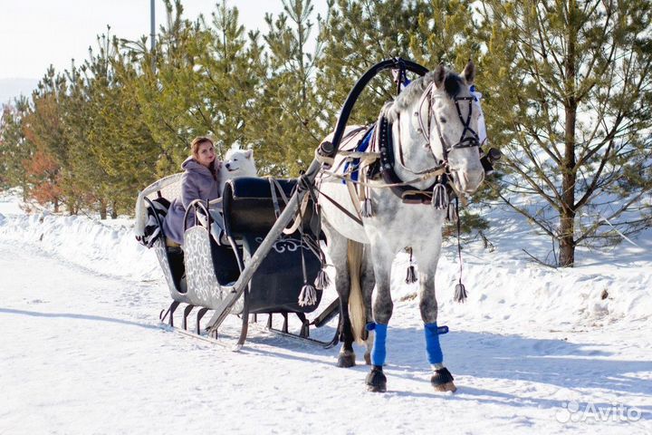 Катание на лошадях