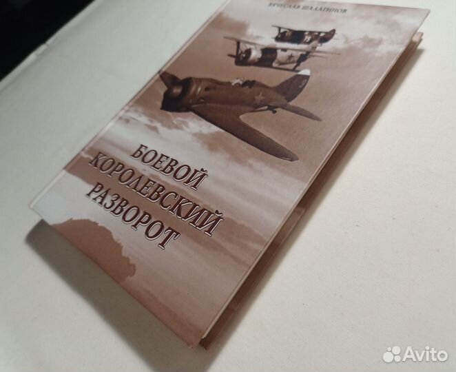 Шалагинов. Боевой королевский разворот. 2009 г