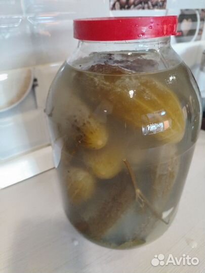 Огурцы соленые