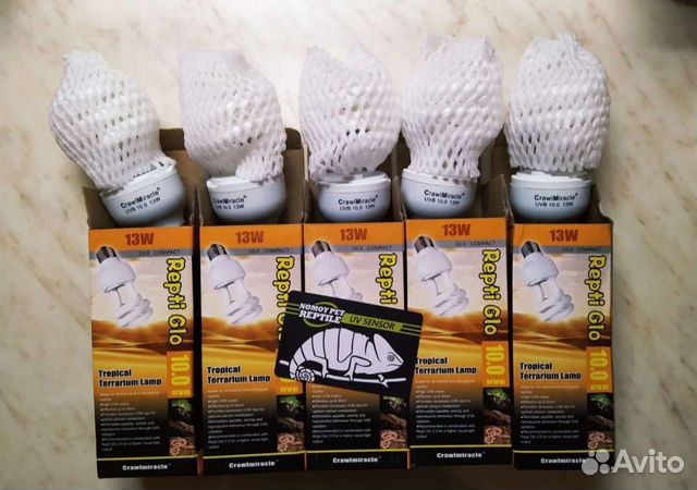 Ультрафиолетовая лампа