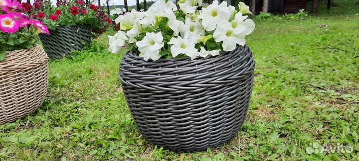 Кашпо из ротанга