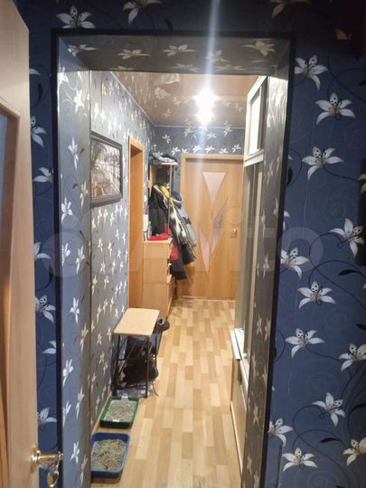 2-к. квартира, 49,8 м², 5/5 эт.