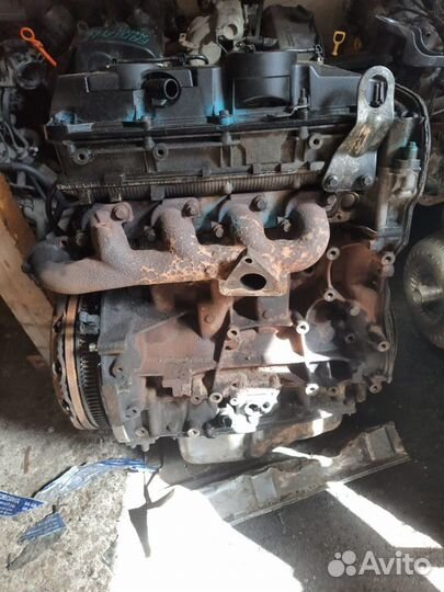 Двигатель ford transit форд транзит 2.4