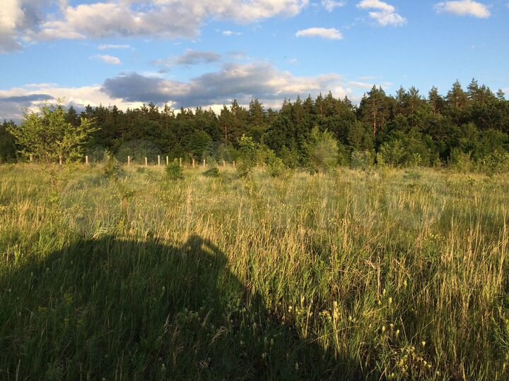 Участок 20 сот. (ИЖС)