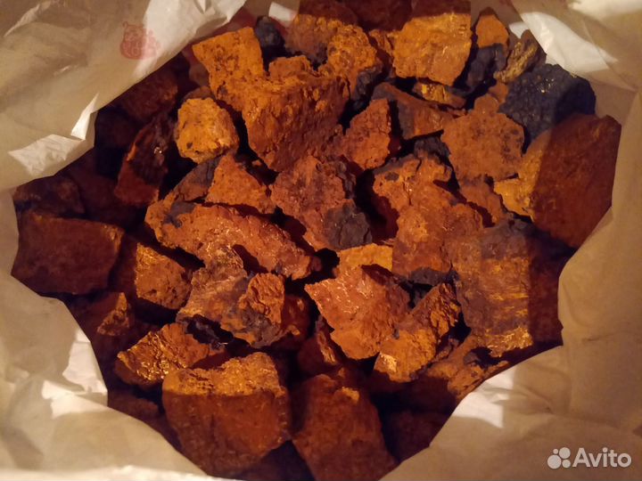 Чага березовая