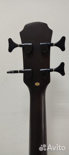 Aria FEB-F2/FL Акустическая безладовая бас гитара