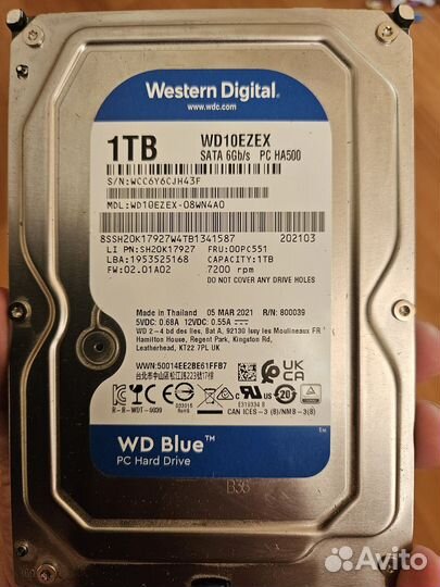 WD Caviar Blue WD10ezex