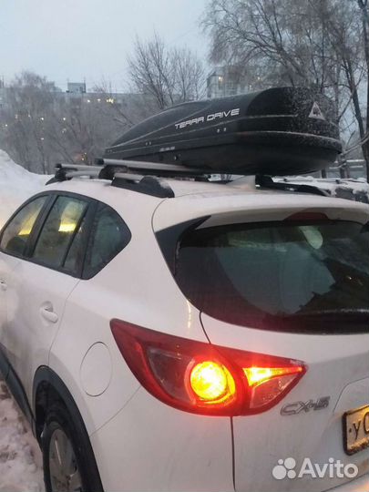 Автобокс thule. аренда. Прокат