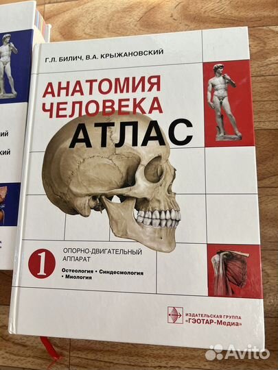 Атлас анатомии человека