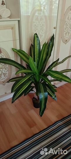 Искусственные растения в горшках Драцена, Plant