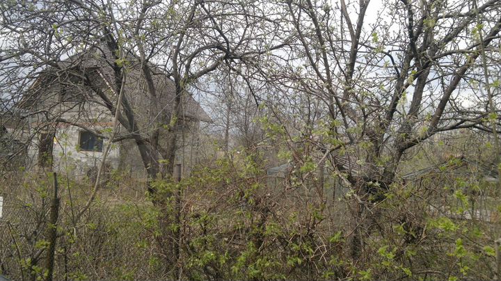 Участок 4,1 сот. (СНТ, ДНП)