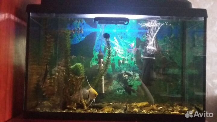 Аквариум 75л со всем оборудованием