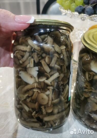 Грибы опята маринованные