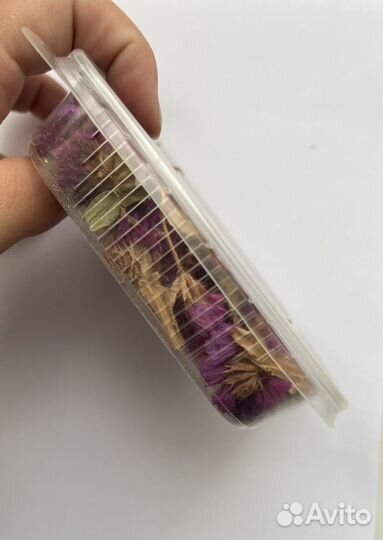 Статица сухоцветы для творчества